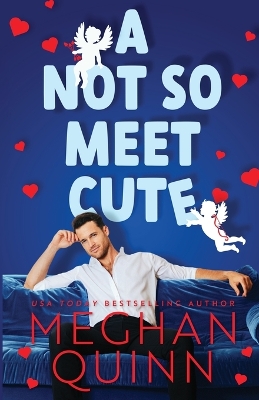 Book cover for A Not So Meet Cute