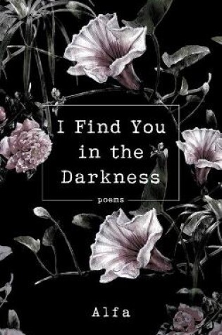 Cover of I Find You in the Darkness