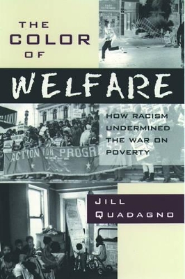 Book cover for The Color of Welfare