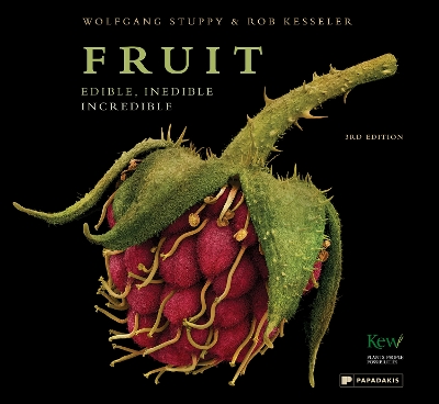 Book cover for Fruit