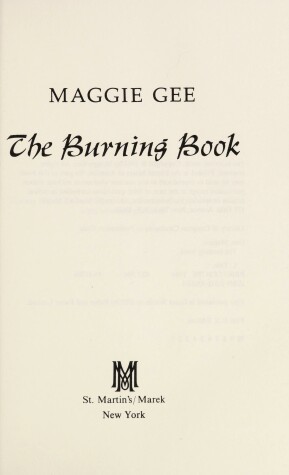 Book cover for The Burning Book