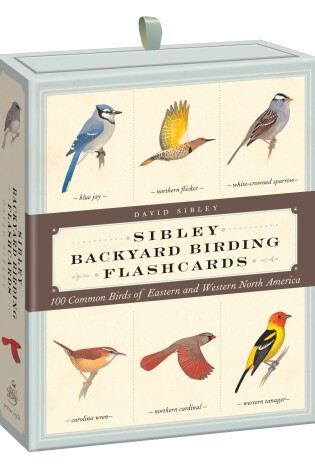 Cover of Sibley Backyard Birding Flashcards