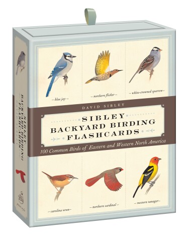 Book cover for Sibley Backyard Birding Flashcards