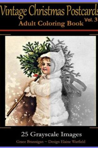 Cover of Vintage Christmas Postcards Vol 3 Adult Coloring Book