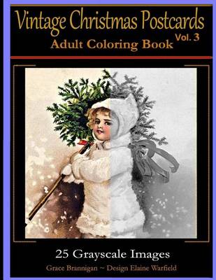 Book cover for Vintage Christmas Postcards Vol 3 Adult Coloring Book