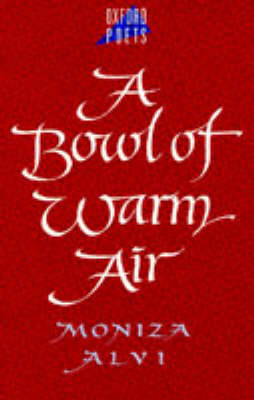 Cover of A Bowl of Warm Air