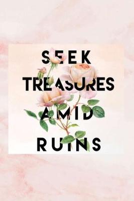 Book cover for Seek Treasures Amid Ruins