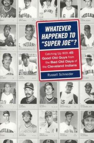 Cover of Whatever Happened to Super Joe?