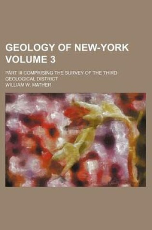 Cover of Geology of New-York; Part III Comprising the Survey of the Third Geological District Volume 3
