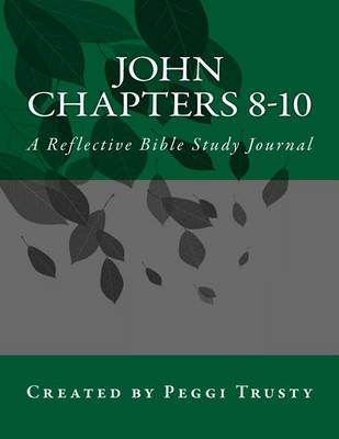 Cover of John, Chapters 8-10