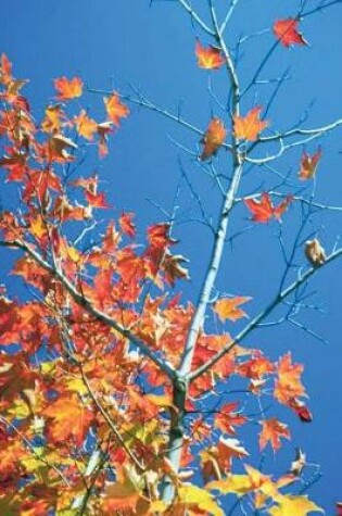 Cover of Journal Blue Sky Autumn Tree