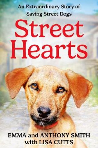 Cover of Street Hearts