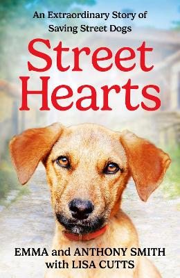 Book cover for Street Hearts