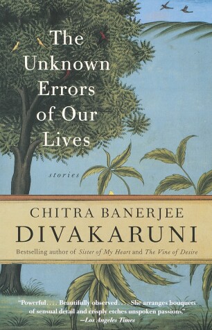 Book cover for The Unknown Errors of Our Lives