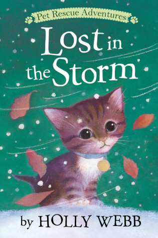 Cover of Lost in the Storm