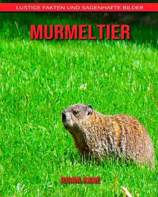 Book cover for Murmeltier