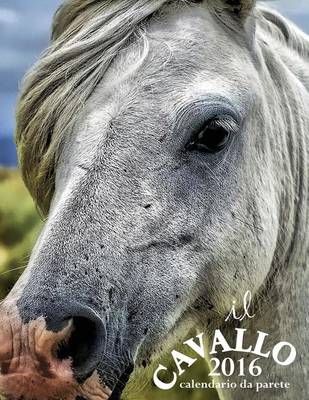 Book cover for Il Cavallo 2016 Calendario Da Parete (Edizione Italia)