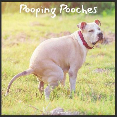 Book cover for Pooping Pooches 2021 Calendar