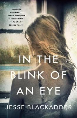 Book cover for In the Blink of an Eye