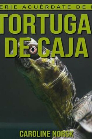 Cover of Tortuga de caja