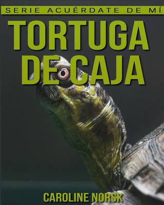 Book cover for Tortuga de caja