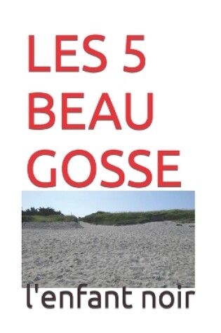 Cover of Les 5 Beau Gosse