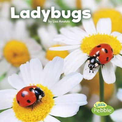 Cover of Ladybugs