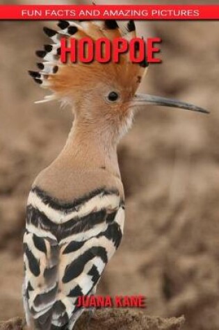 Cover of Hoopoe