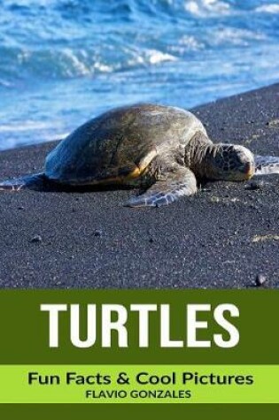 Cover of Turtles