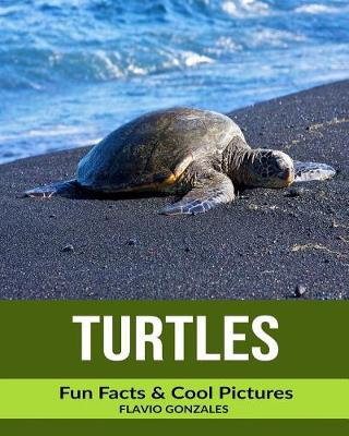 Book cover for Turtles