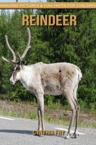 Cover of Reindeer