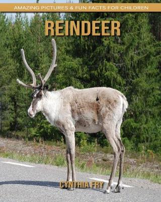 Book cover for Reindeer