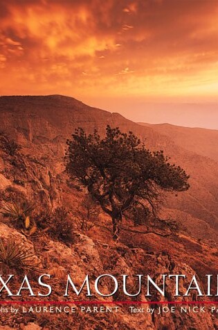 Cover of Texas Mountains