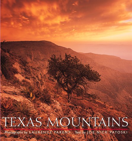 Book cover for Texas Mountains