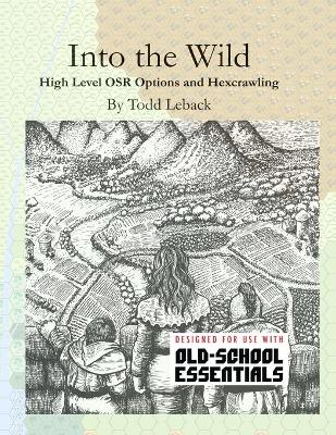 Book cover for Into the Wild