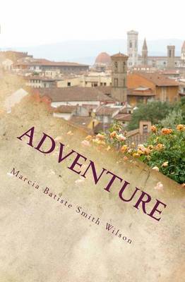 Book cover for Adventure