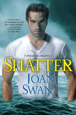 Book cover for Shatter