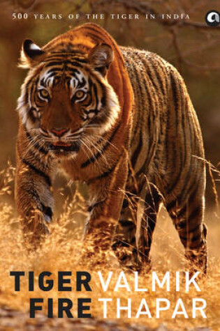 Cover of Tiger Fire