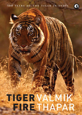 Book cover for Tiger Fire