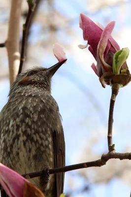 Book cover for Bird on a Magnolia Tree Spring Journal