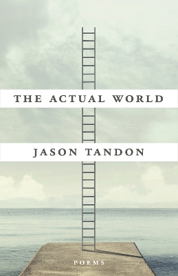 Book cover for The Actual World