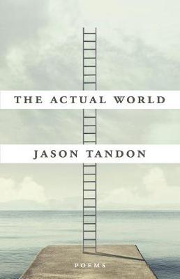 Book cover for The Actual World