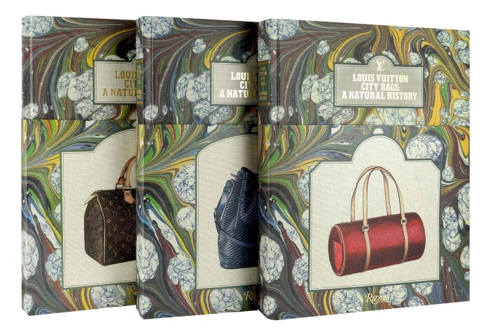 Book cover for Louis Vuitton City Bags: A Natural History