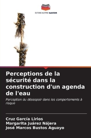 Cover of Perceptions de la sécurité dans la construction d'un agenda de l'eau