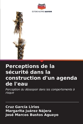 Book cover for Perceptions de la sécurité dans la construction d'un agenda de l'eau