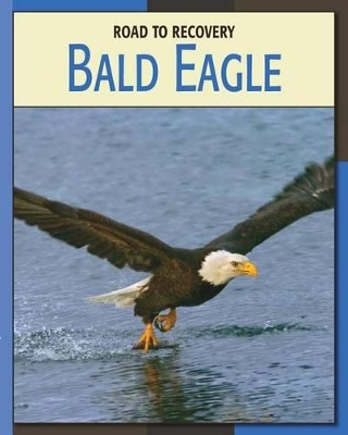 Book cover for Bald Eagle