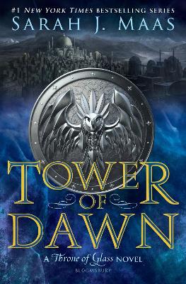 Cover of Tower of Dawn