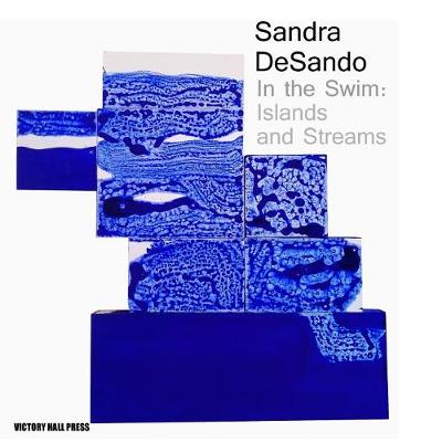 Book cover for Sandra DeSando, In the Swim