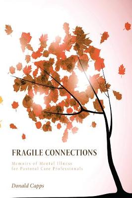 Book cover for Fragile Connections