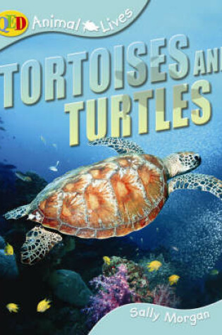 Cover of Tortoises and Turtles